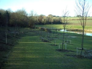 Arboretum planted with over 230 different kinds of trees
